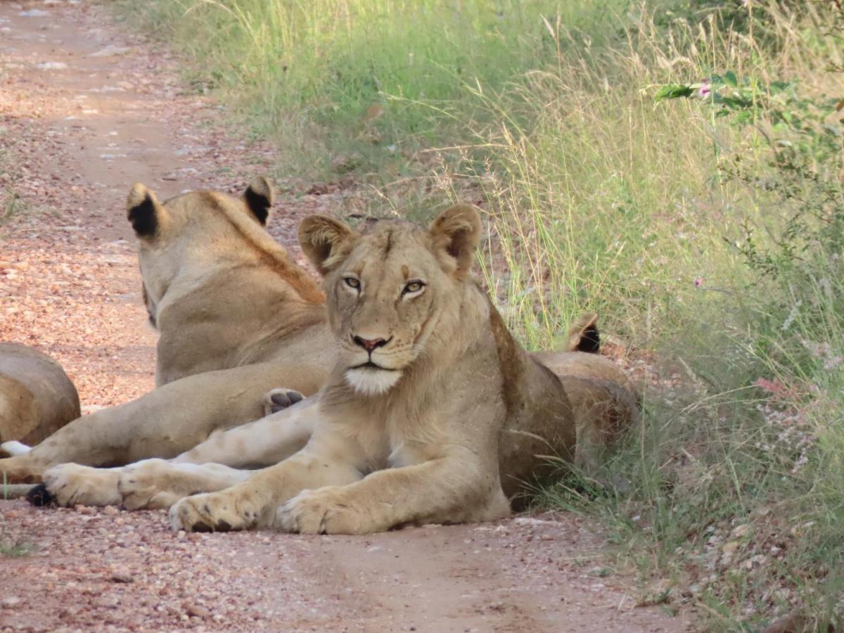 Muweti Bush Lodge Grietjie Game Reserve Zewnętrze zdjęcie