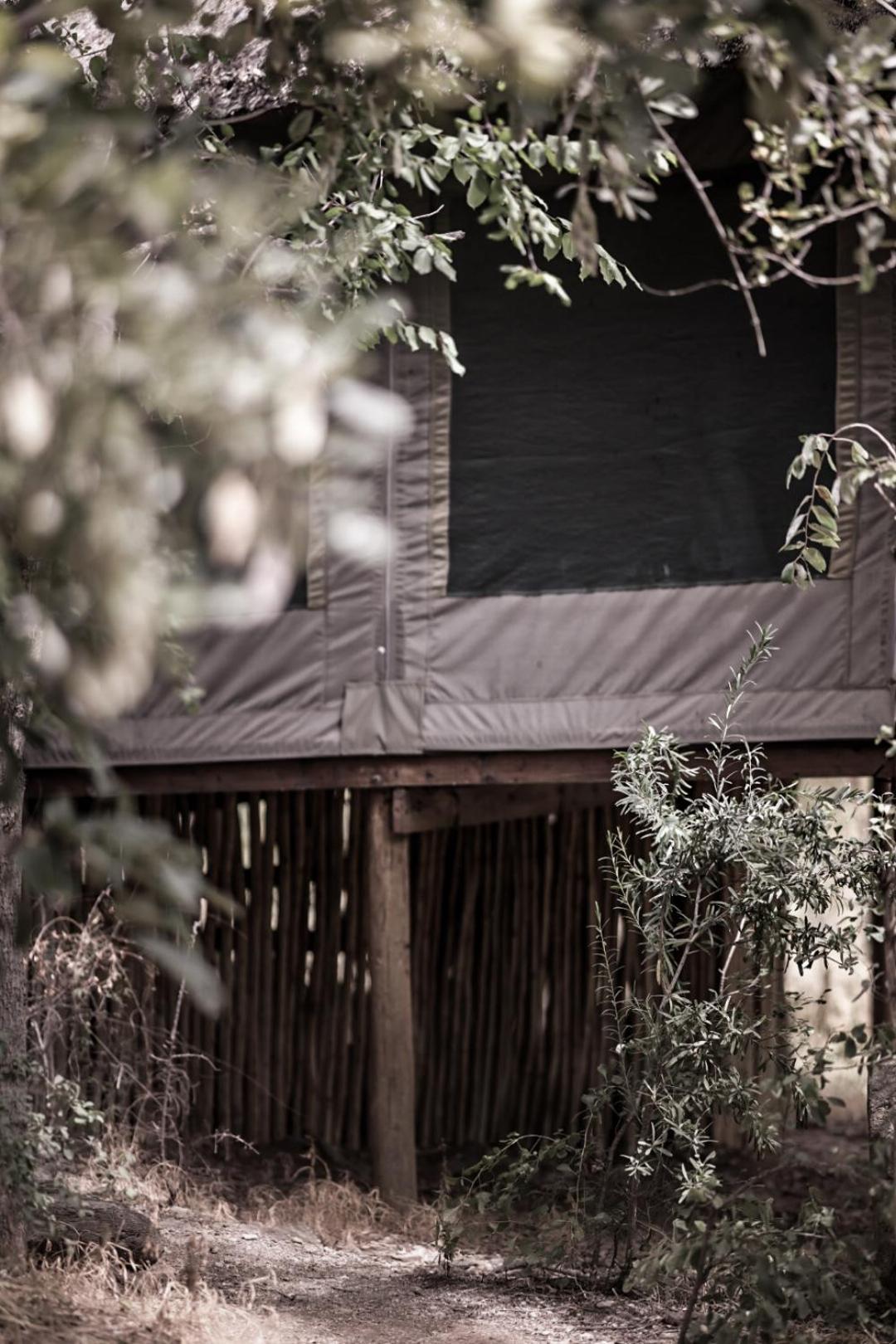 Muweti Bush Lodge Grietjie Game Reserve Zewnętrze zdjęcie