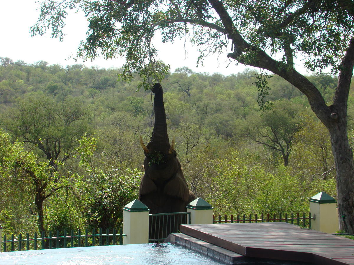 Muweti Bush Lodge Grietjie Game Reserve Zewnętrze zdjęcie